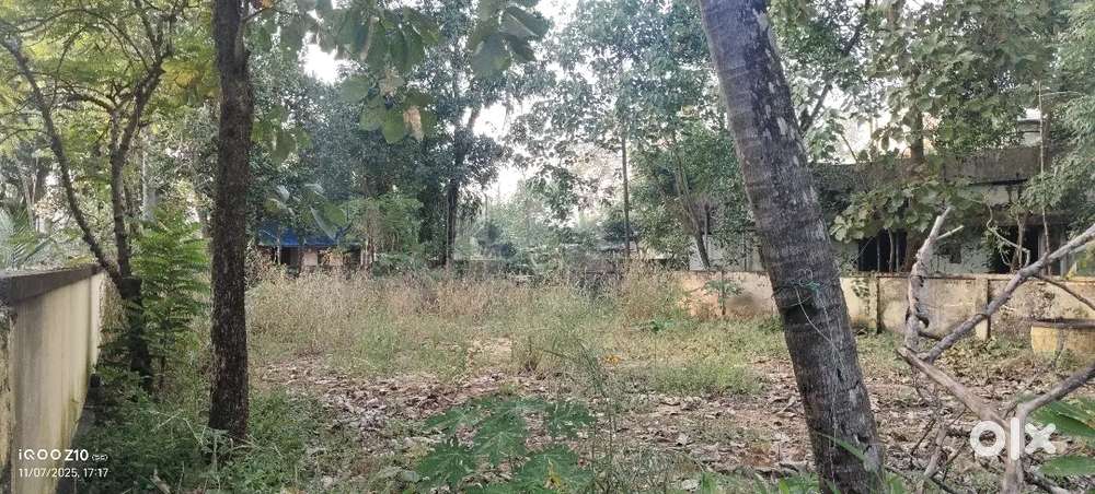 10 cent land for sale eravipuram road side all vehicles can enter