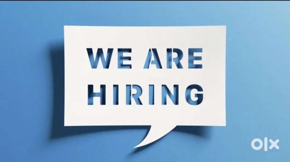 Sales Manager