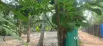 5 cent 7 cent 10 cent plot പുത്തനമ്പലം തെക്കുവശം