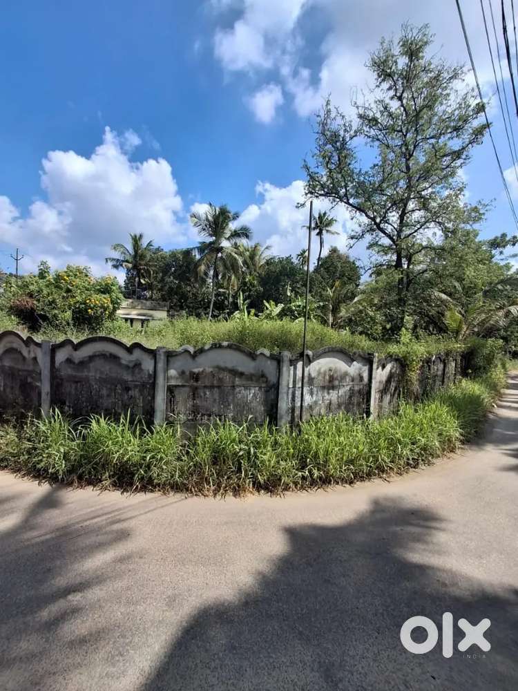 LAND FOR SALE @ ALANGAD