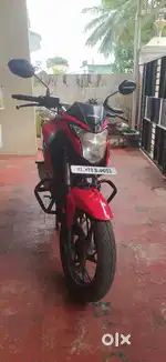 Honda hornet