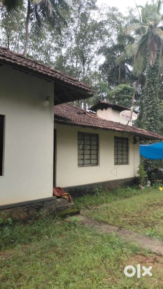 81 cent plot and house