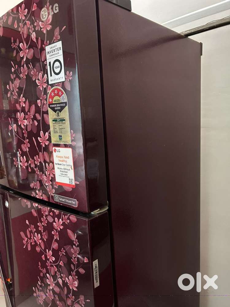 LG Refrigerator