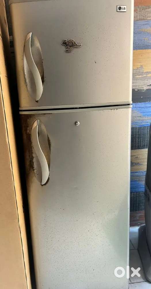 Double door LG Fridge