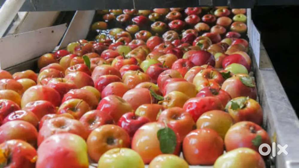 Wanteed billing = counter / cashiers [ partime/ fulltime ]