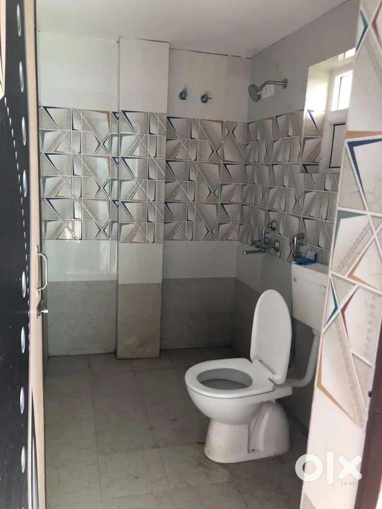 1bhk Forest park(family Or girl)