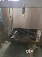 Juice cooler fridge with 6 buckets