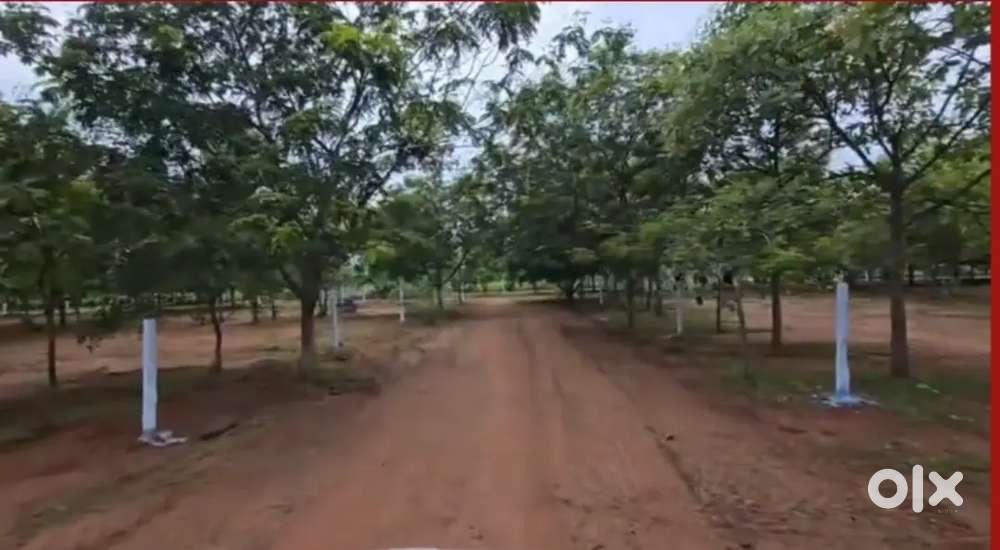 121 SQYD PLOTS at JUKAL 15 LAKHS ONLY