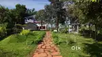 Luxury Managed Farmland – Nature, Profit & Peace in One Place