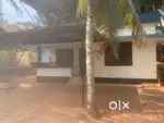 3 bedroom house Rent 10000 Kozhikode Near moozhikkal plz contact us