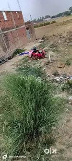 Selur se 300 mitar daruli wali road pe