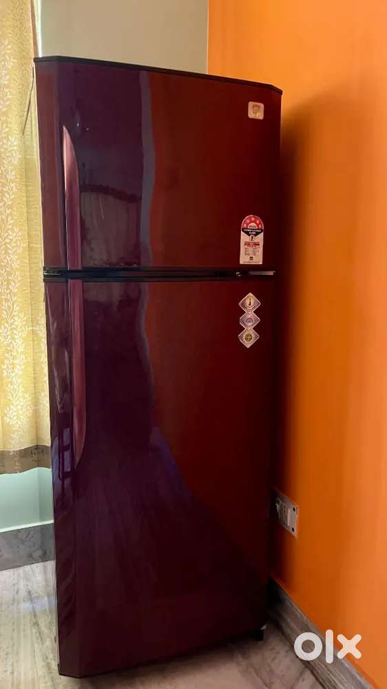 Godrej Eon Double Door Refrigerator