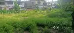 Land for rent