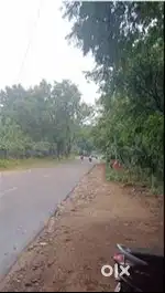 5.5 Cent-DTCP-On road property in Vadavalli Area-Cent 16 Lakhs