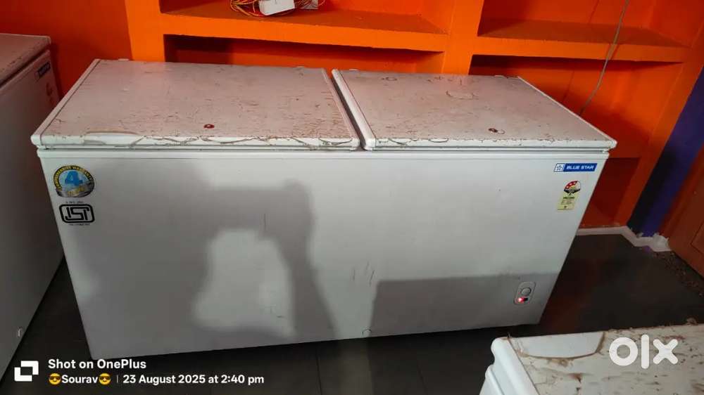 Blue star 400 ltr