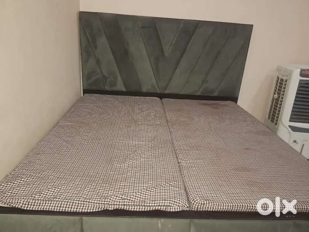 New bed hai