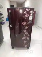 Single and double door fridges