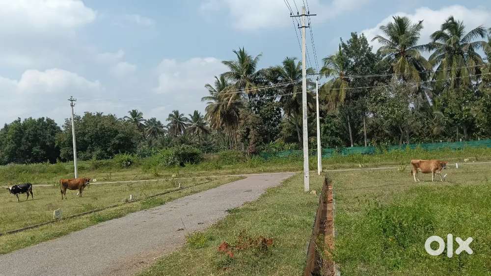 Site for sale in kenchalagodu
