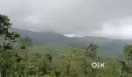 Vagamon Malayilputhuvel 40 Cent Land For Sale.