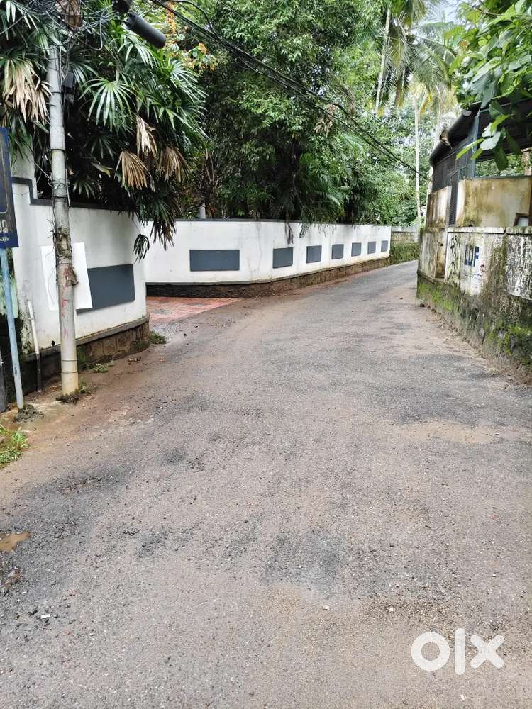 വീട്/Apartment  നിർമാണത്തിന് ഉത്തമമായ  24 cent  പറമ്പ് സ്ഥലം