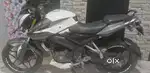 Pulsar NS 200 Model 2019