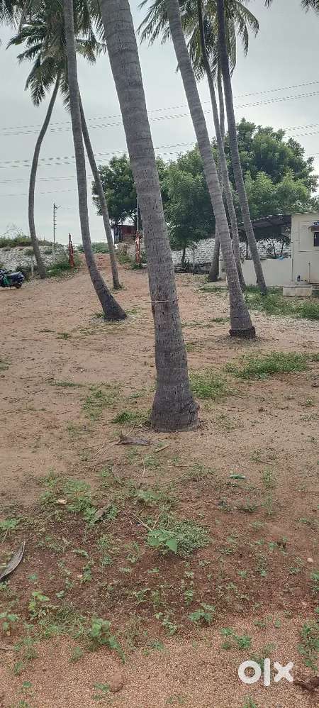 1bhk Independent Farm house Chatram to 5km distance kambarasampettai