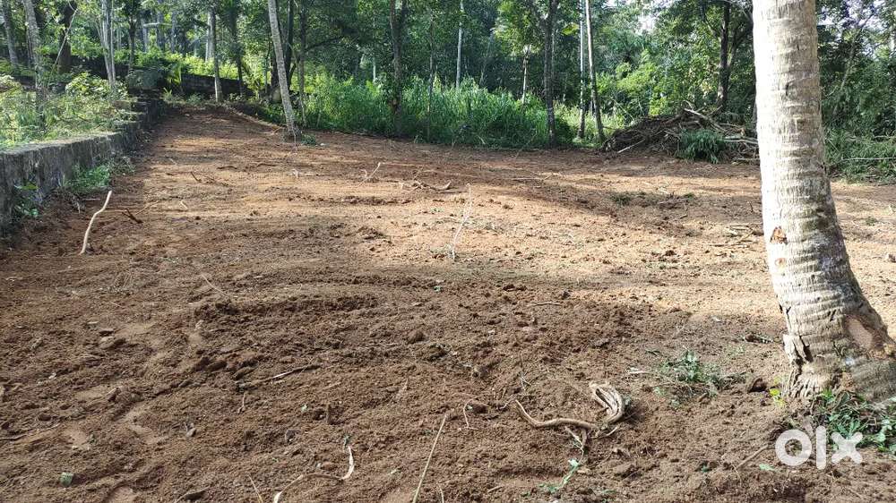 At Venpakal, Thiruvananthapuram