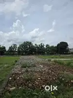 Residential plot