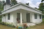 1200 sqt House and 11 cent plot