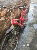 GANG BICYCLE.