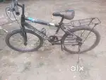 Cycle Hercules