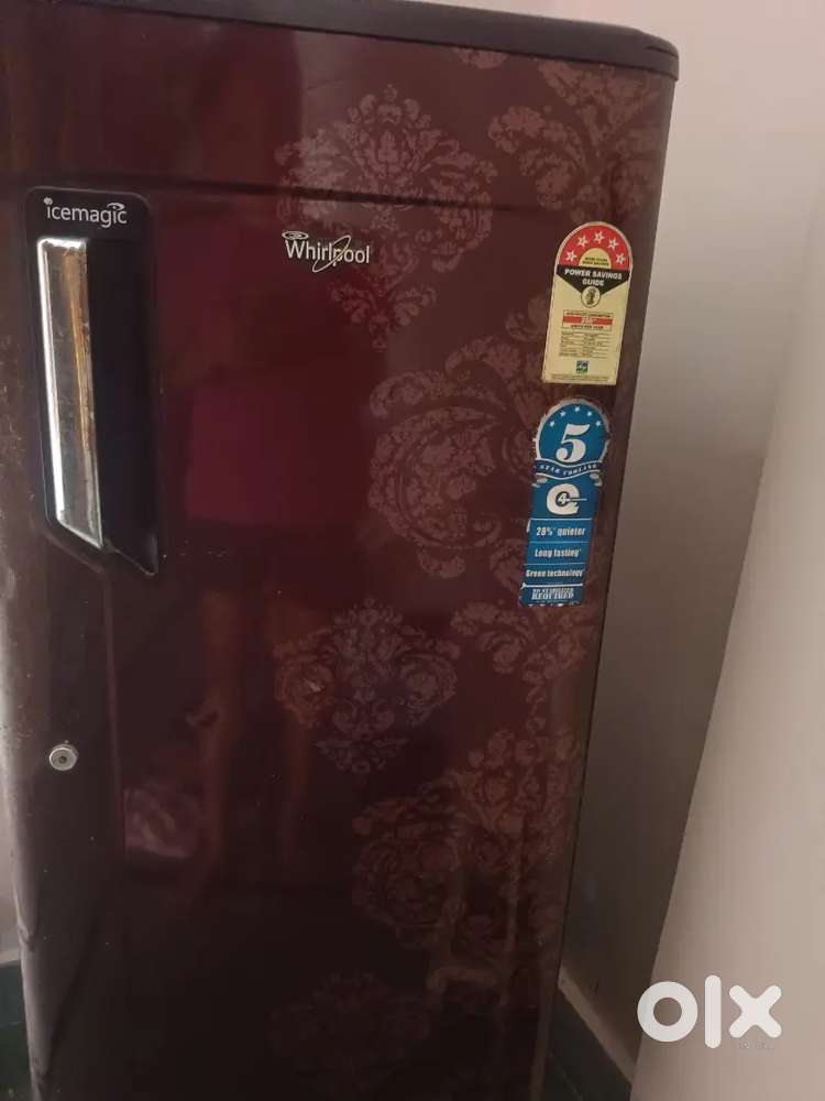 Fridge/ Refrigerator