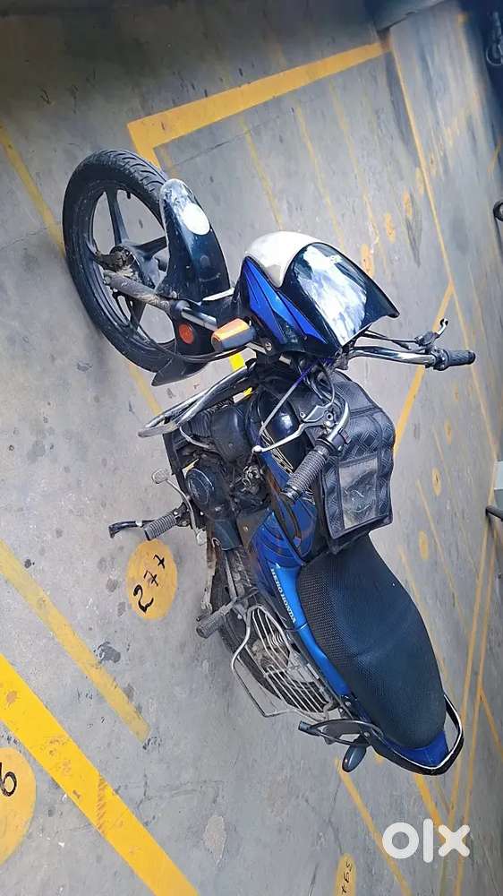 Black and blue passion plus valid papers