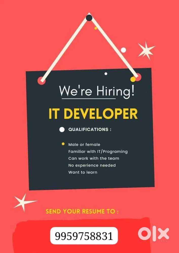 IT profession and Engineering works