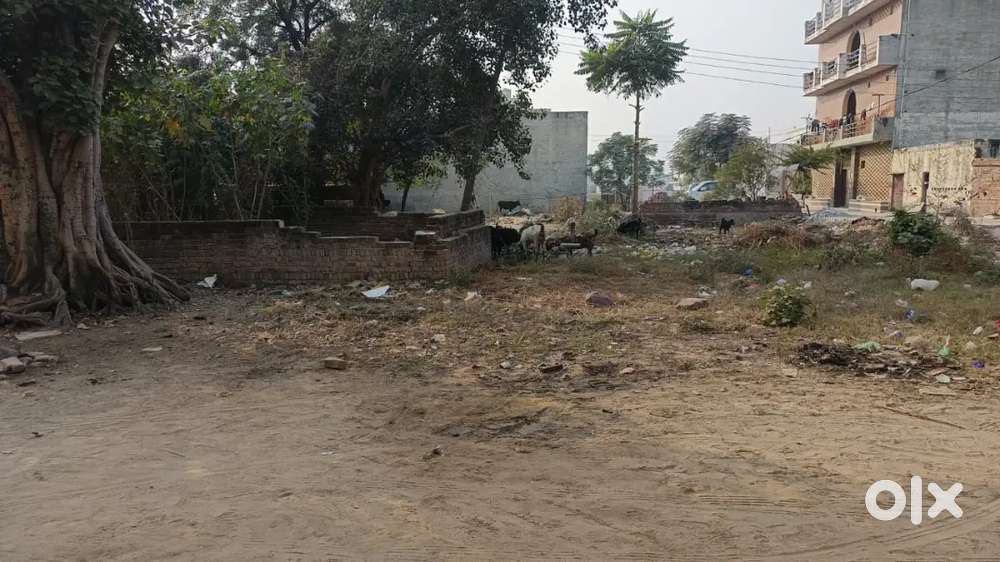 200 gaj sec 01, Registery plot