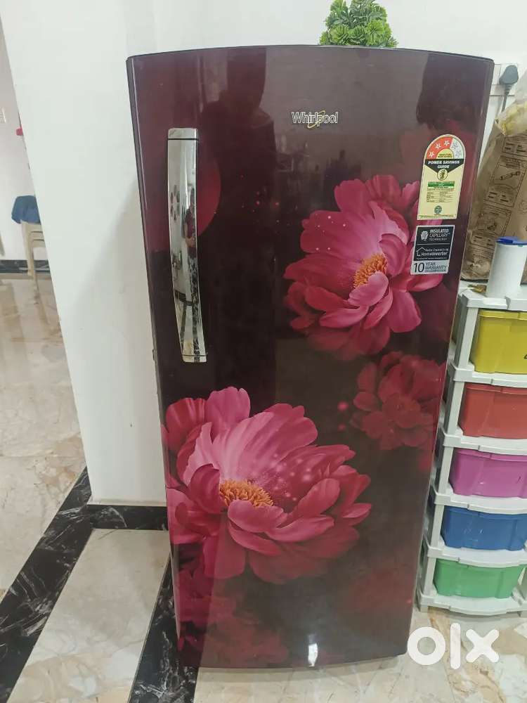 Fridge just 1 year old
