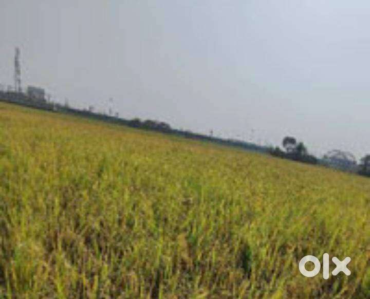 Road side near to highway