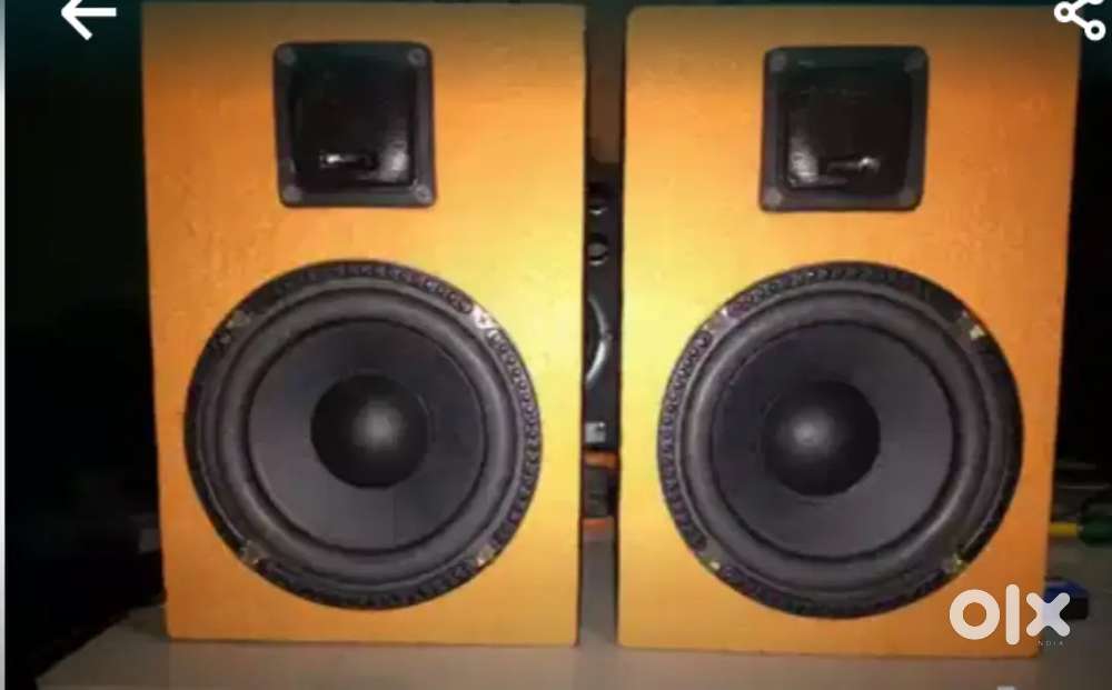 Speaker monitor for studio