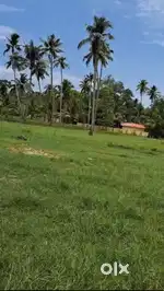 For Sale: Prime 75 Cent Plot in Vallikavu, Tamara Junction