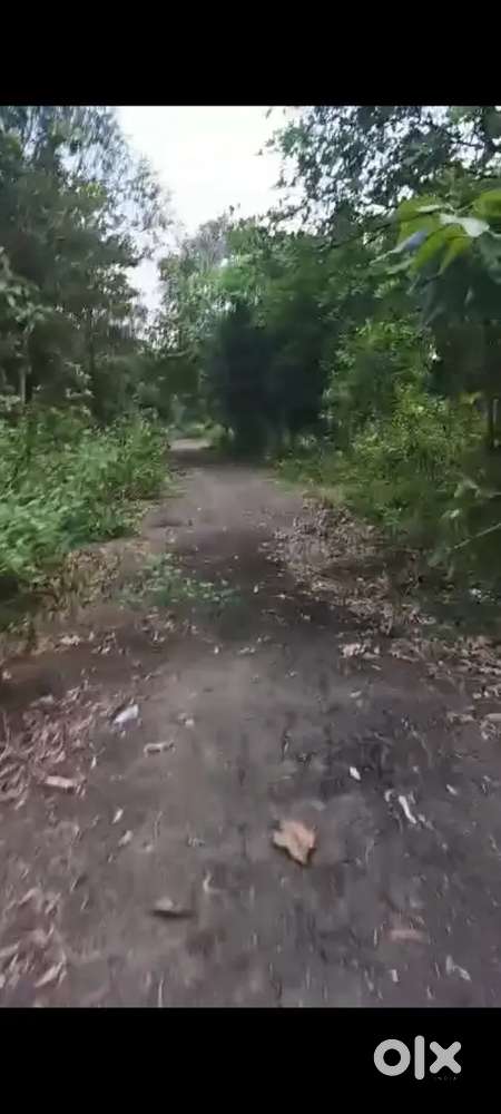 618 sqy farming plot for sale in kothavalasa