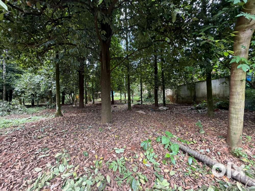 Residential Plot for Sale Near Perambra National Highway NH 544.