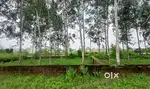 Plot for sell