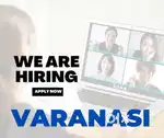 Varanasi remote business developer