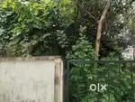 Thrissur Guruvayur temple near 250 cent plot for sale per cent 7 lakh