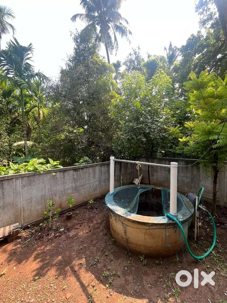 Pattikkad Thrissur,