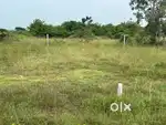 In Guduvanchery DTCP Approved Plot for sale