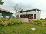 Organic managed farm lands in gowribidnur