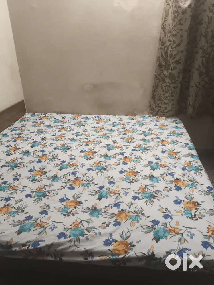 Furniture with beautiful look with sagon wood