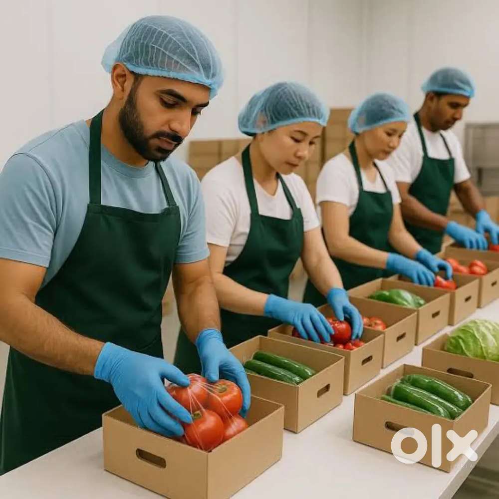 Picker and packer job#Dhana//warehouse inside work