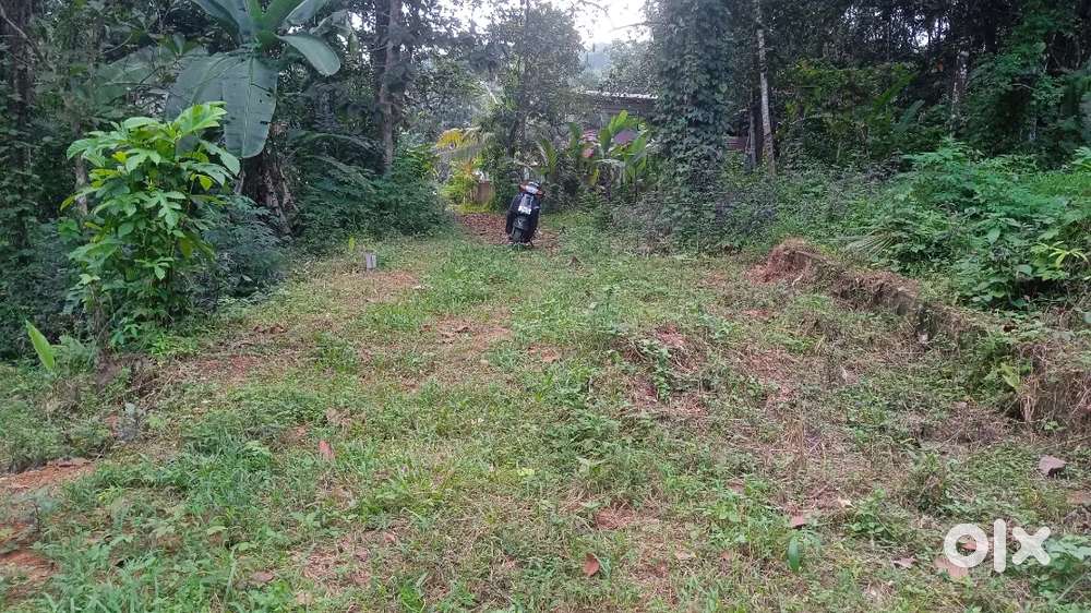 14 cent house plot for sale omallor puthanpeedika 300000 per cent